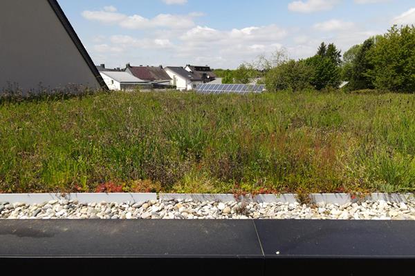Nachhaltig bauen - Dachmaterial & Bauholz